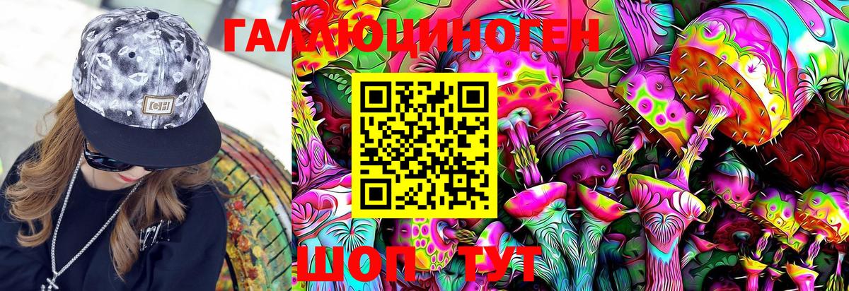 Псилоцибиновые грибы GOLDEN TEACHER Вязники