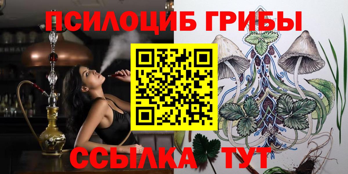 Вязники  Галлюциногенные грибы MAGIC MUSHROOMS  магазин  наркотиков  Вход с VPN 